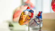 Ask a Doctor: Robert J. Feezor, UF Health Vascular Surgeon on Aortic Dissections